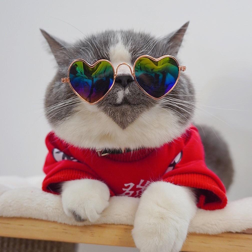 城乡结合部狗蛋@抖音