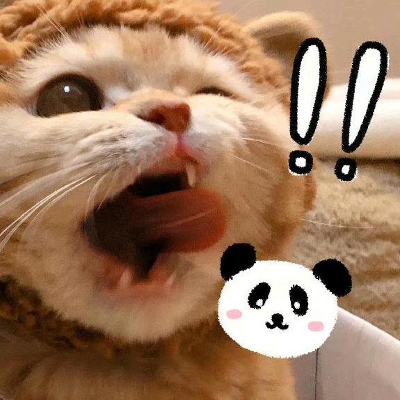 淇淇柒