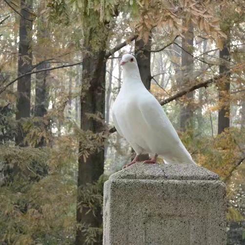 悟到尽头一场空