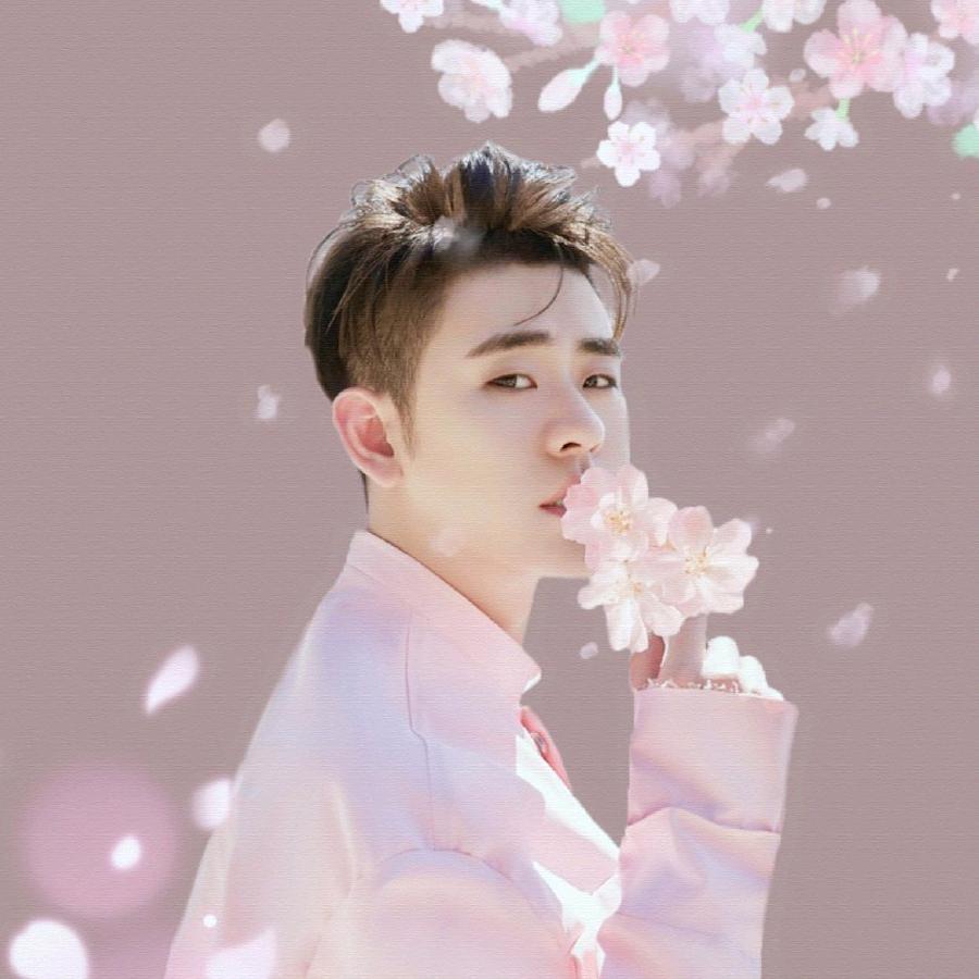 一只猫的旅行  💫