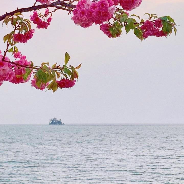 北京大妞爱旅游