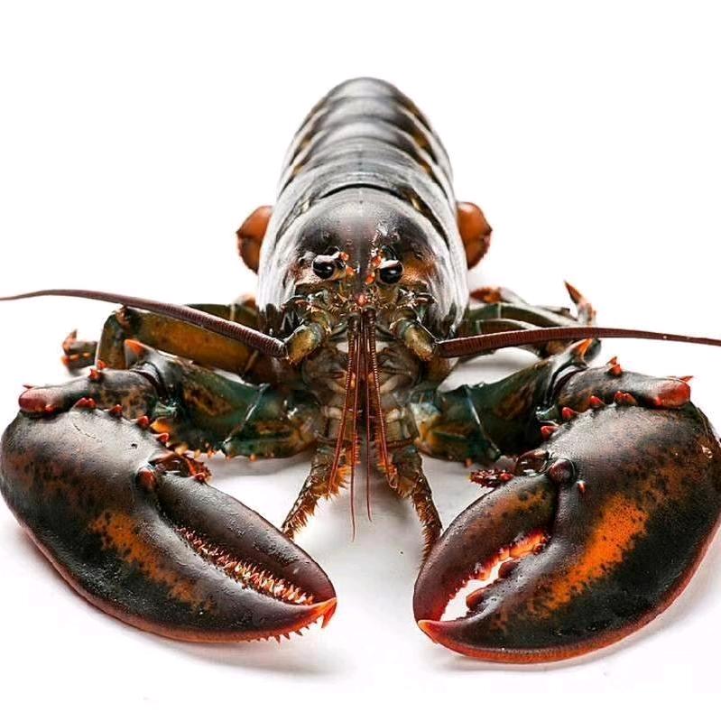 柘城县国化海鲜店