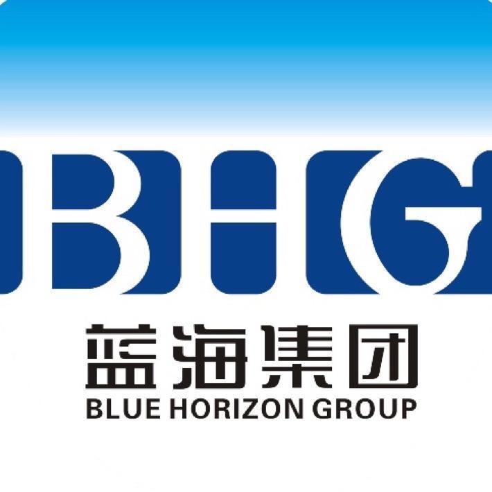 蓝海集团