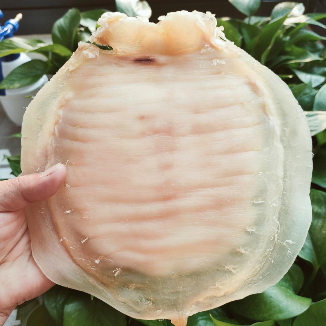 老渔民（回收鱼胶）