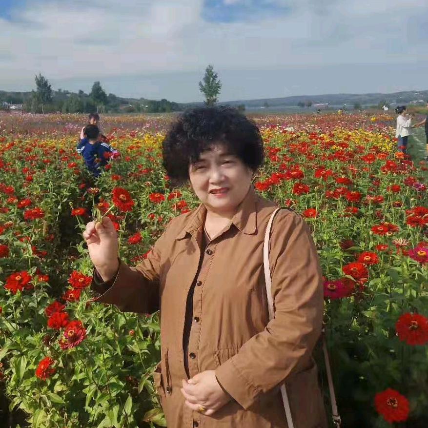 蛋蛋奶奶