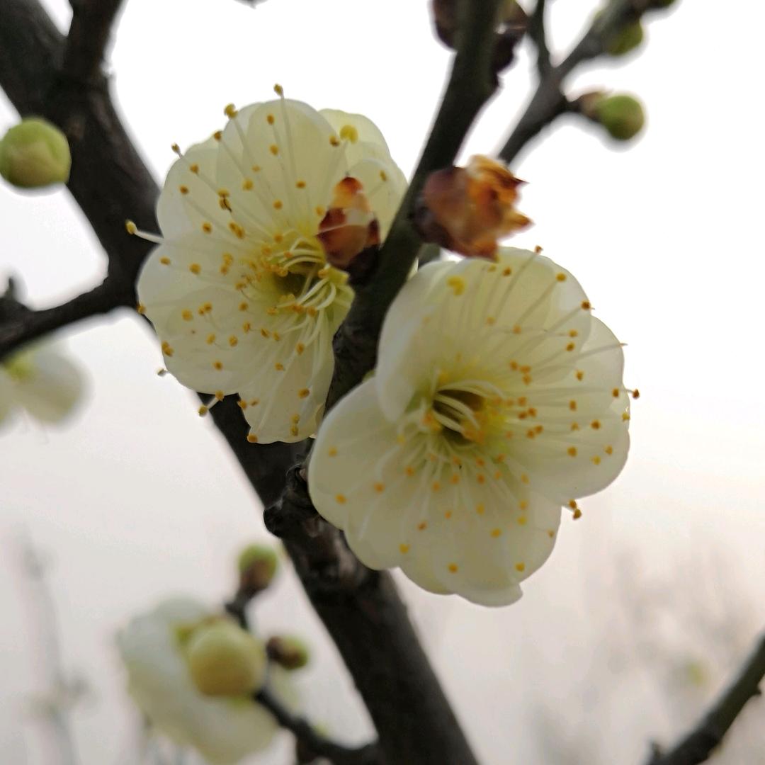 &逍遥