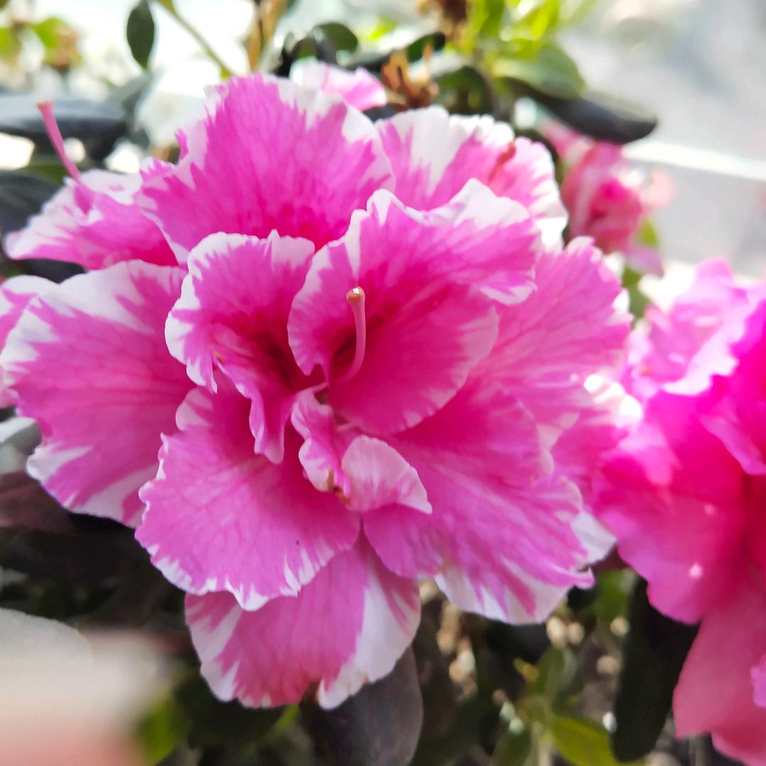 富顺县家亿房产富达路分公司