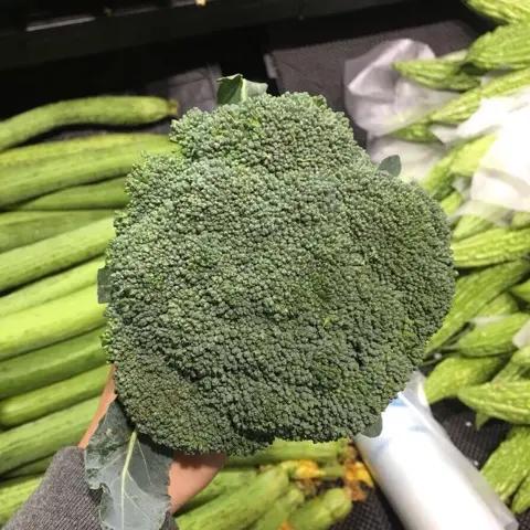 西兰花@抖音