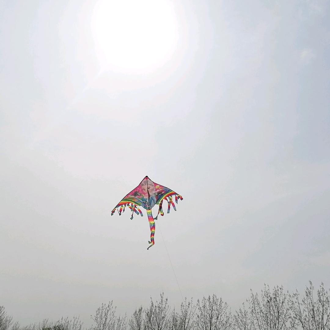 王家小妹，家有三宝，