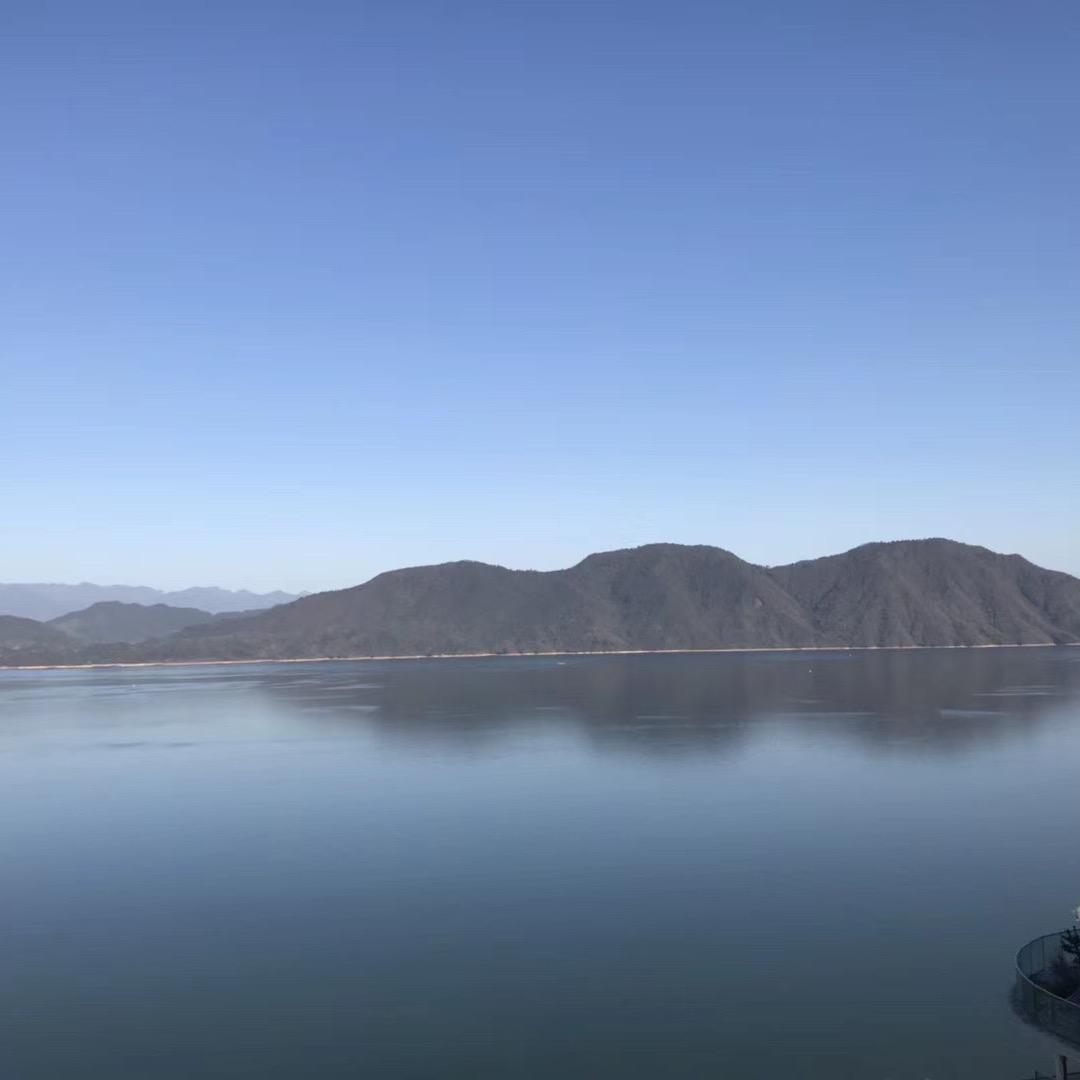理查德-