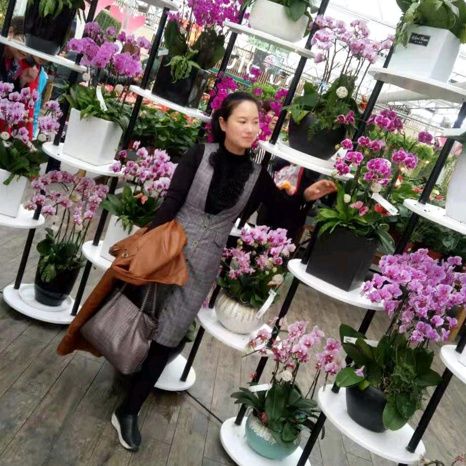 洛阳市好运来商行 嘉丽仟味坊