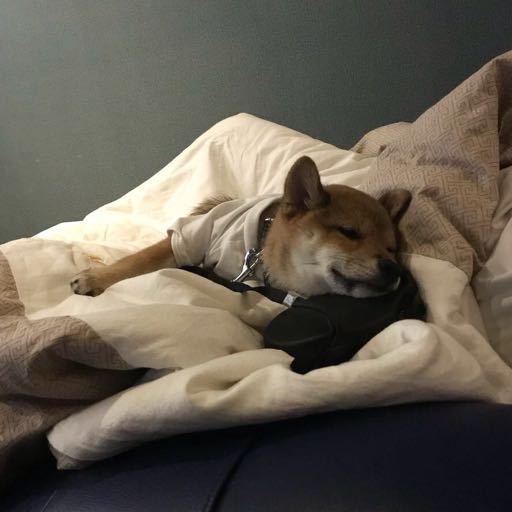 潘白雪