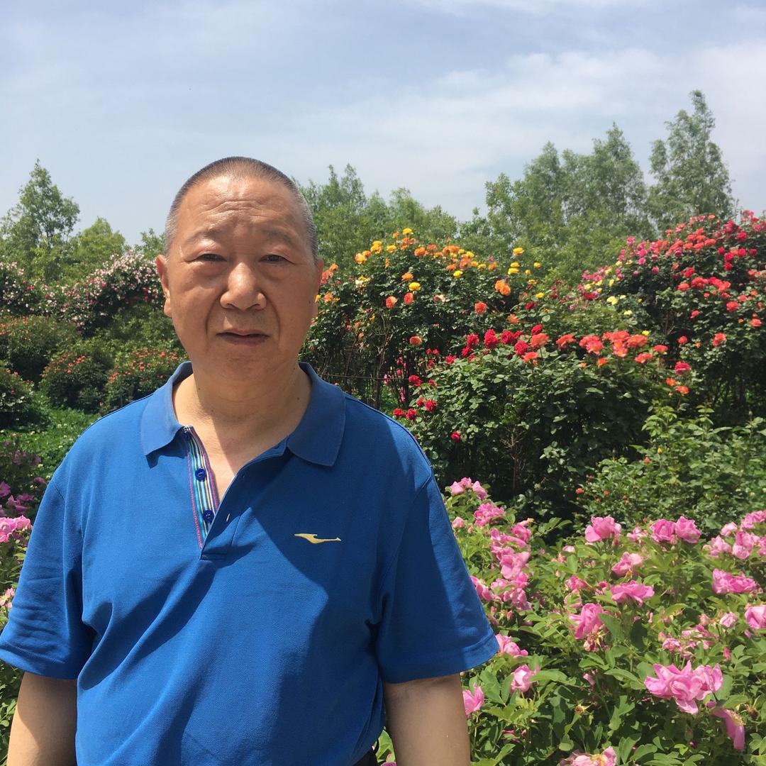 北方的狼