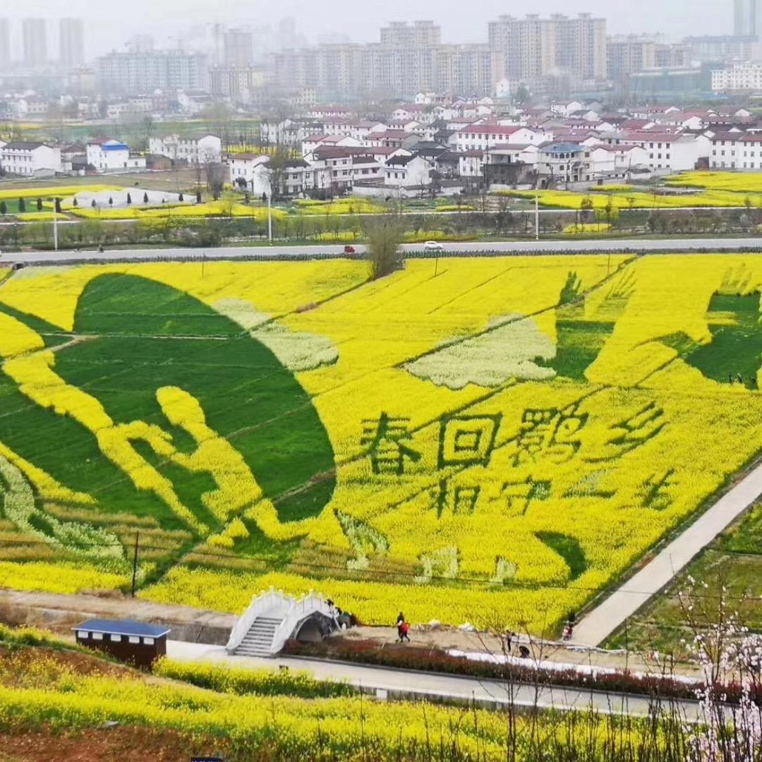 羊贵飞