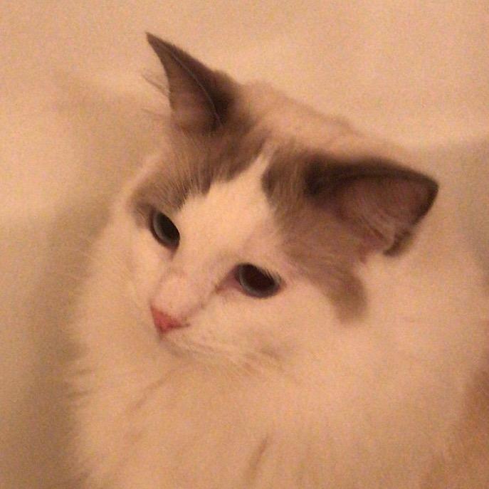 4566日常版@抖音