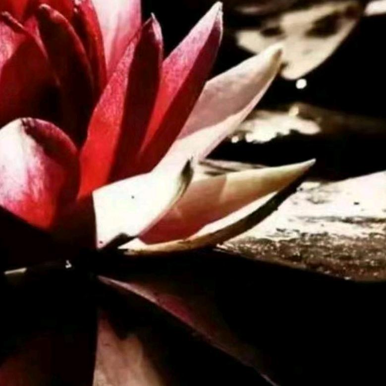 孝草堂太极养生灸法荆老师工作室温柔的晓学