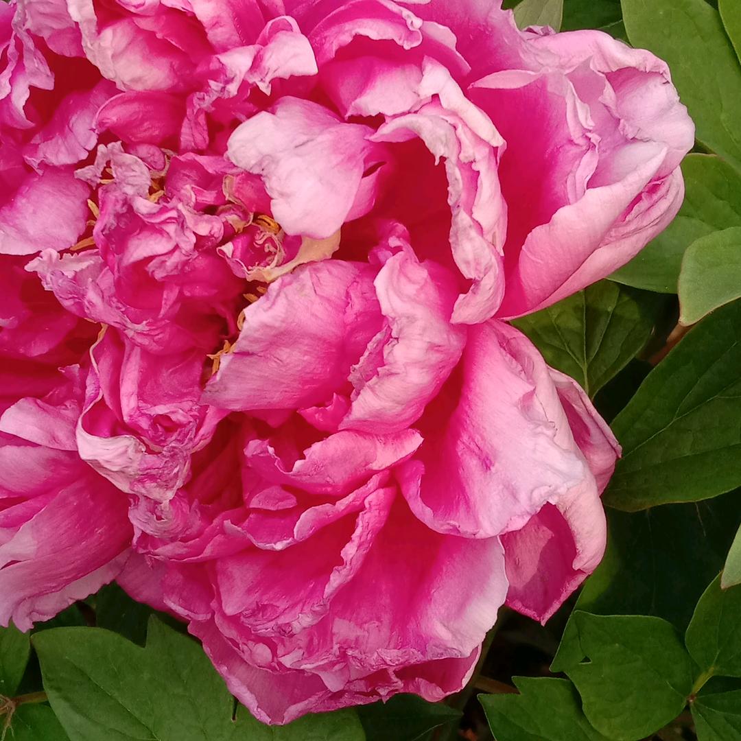 用户327886423292不见不散