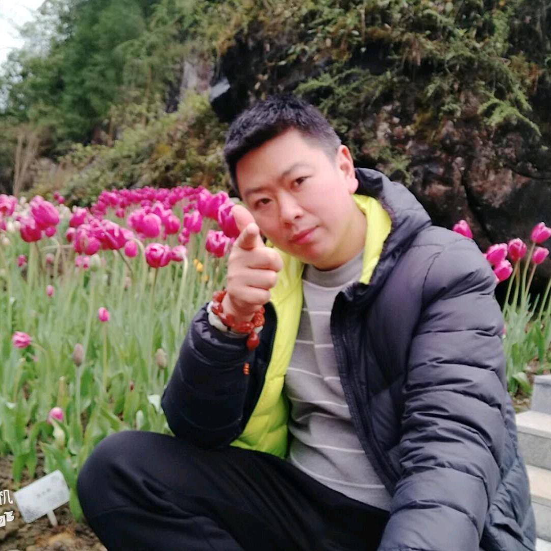 武动红尘