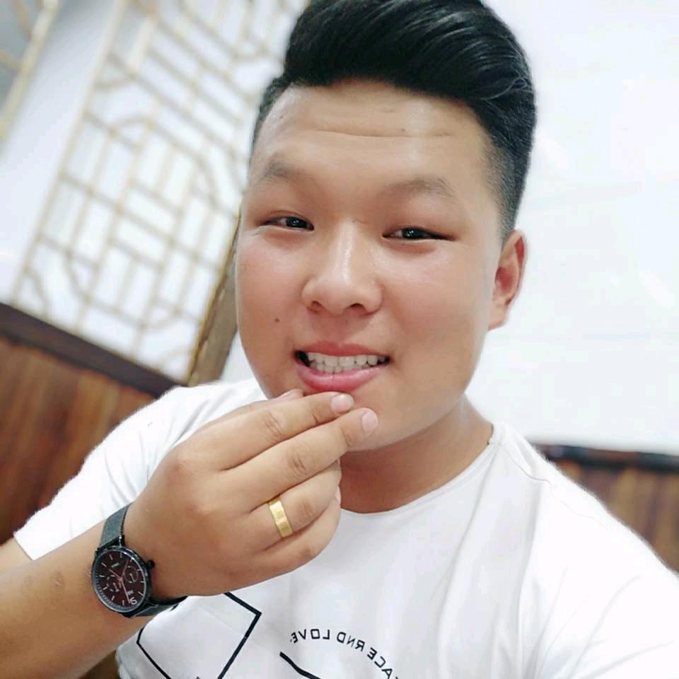 A.   点点宠物全国发货