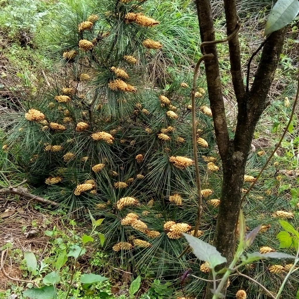 时光念旧拒绝私聊