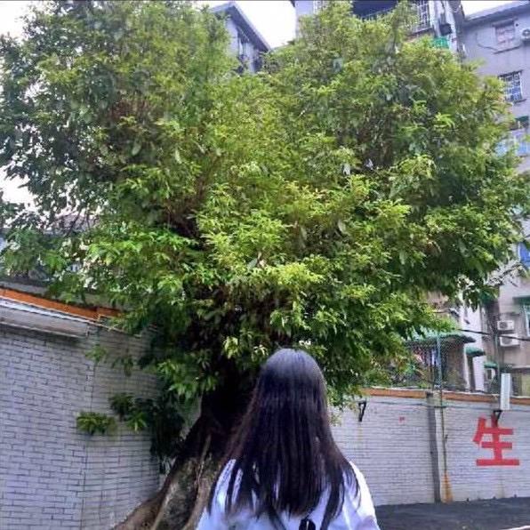 -是啊倩呀~