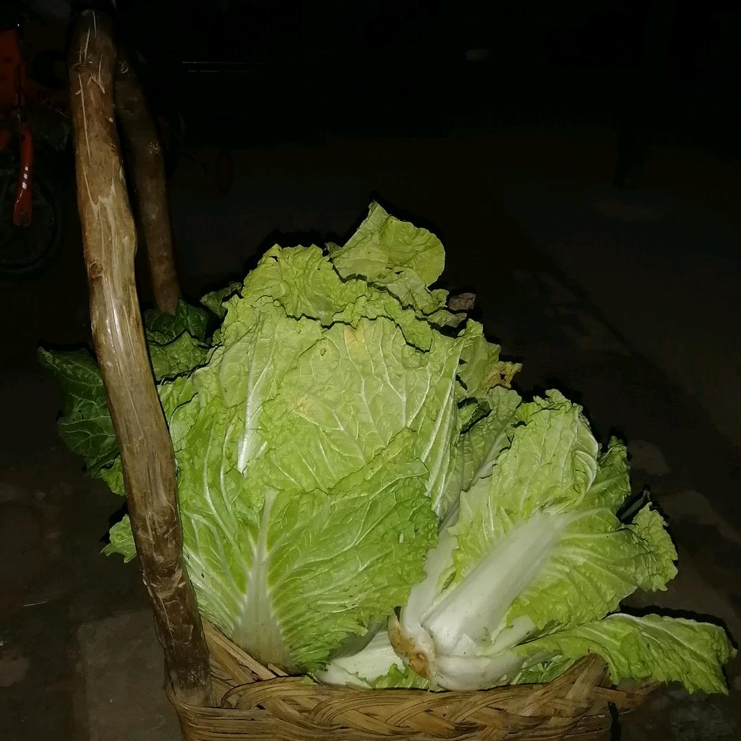 明天更好  户2782932183