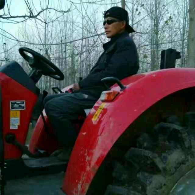 散养土公鸡～陈学