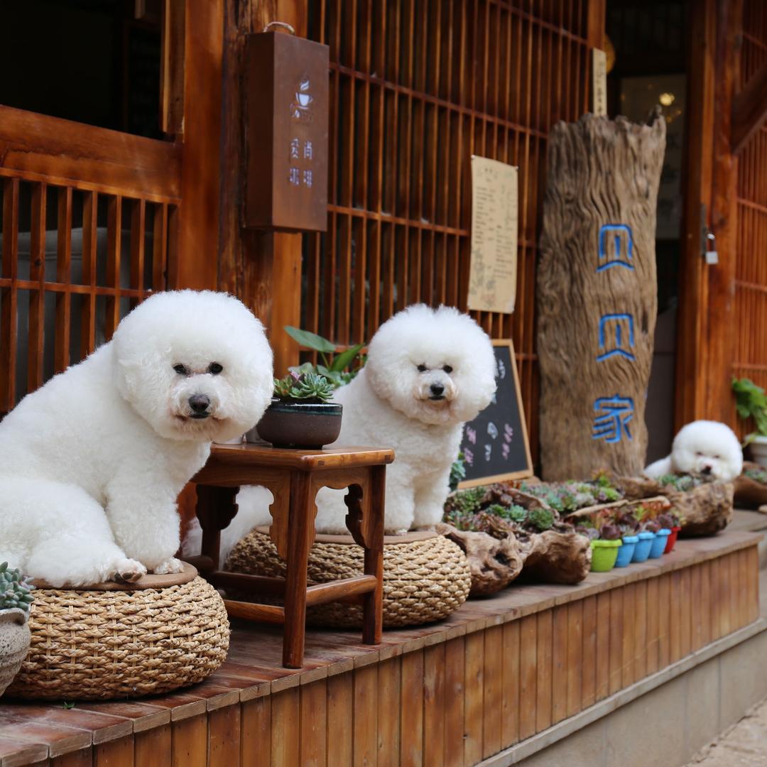 丽江贝贝家民宿、小号