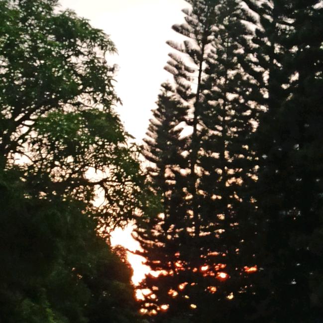 布丁布丁小布丁