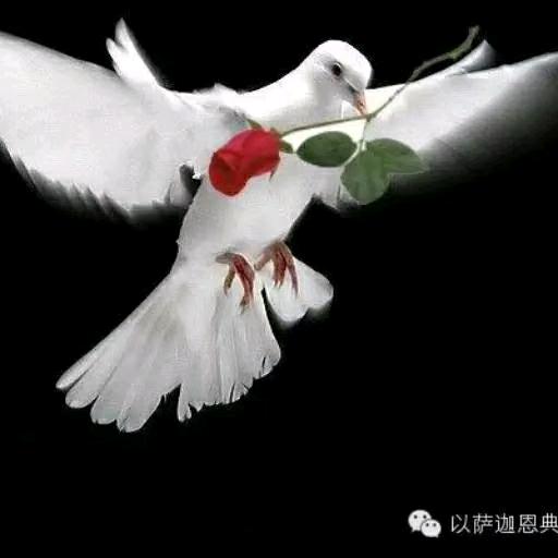 王弟兄