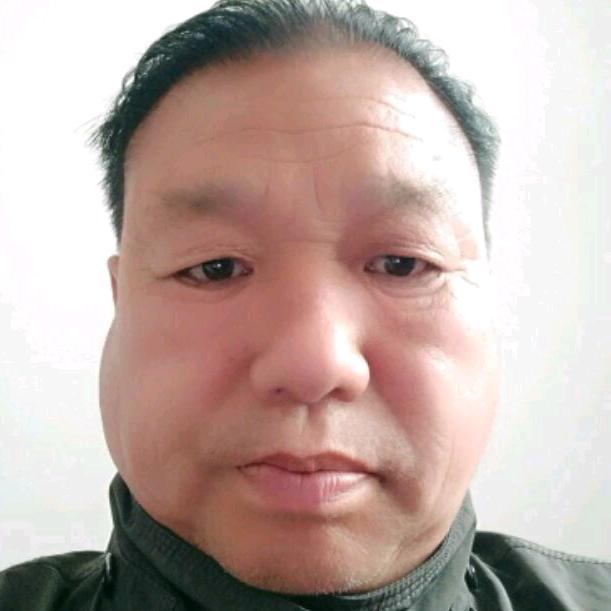 车文龙