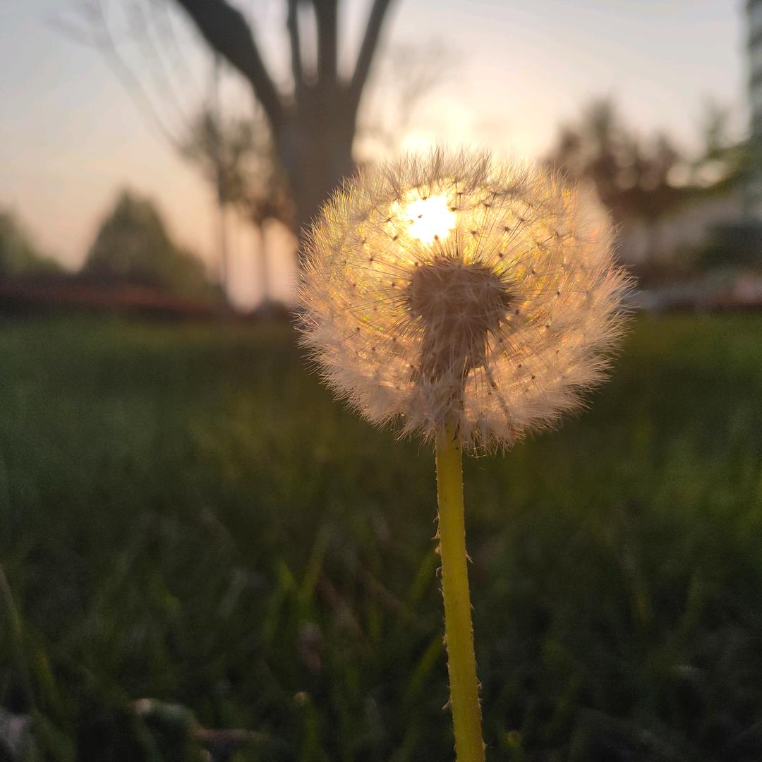 高山水长(ง •̀_•́)ง