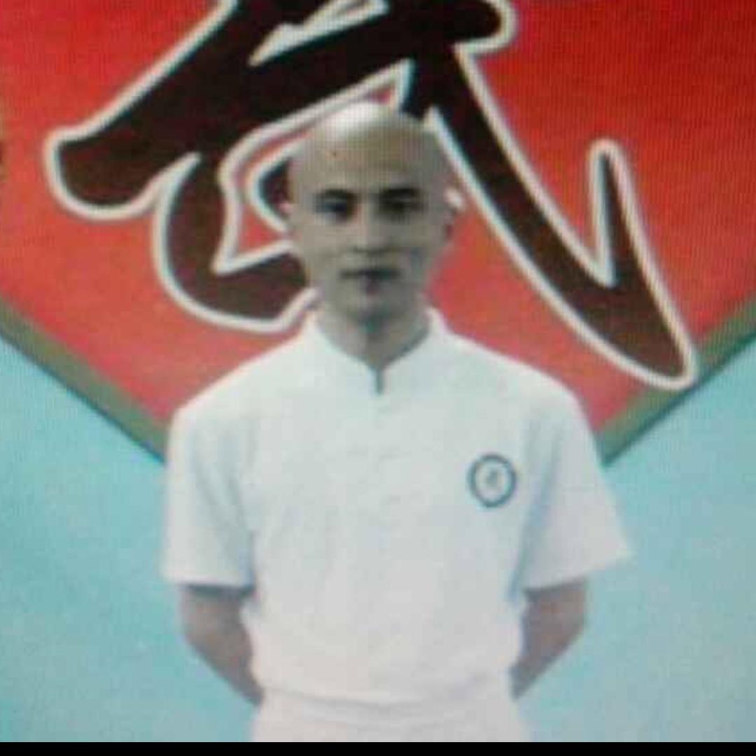 张教练—意拳无意