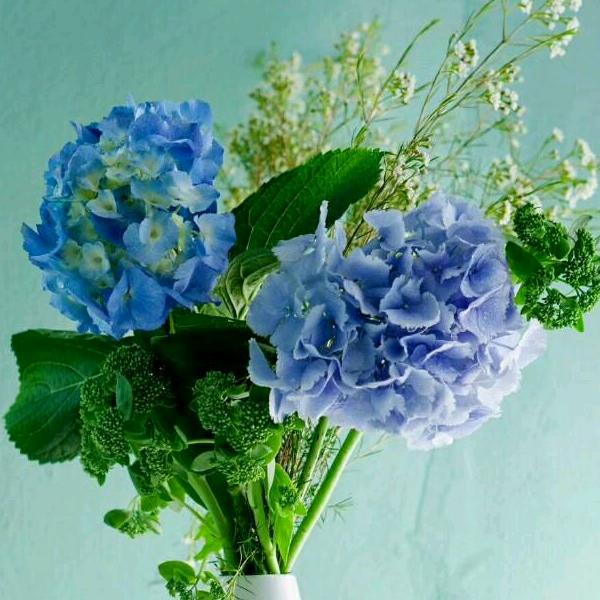 笑而不语❤️❤️，范