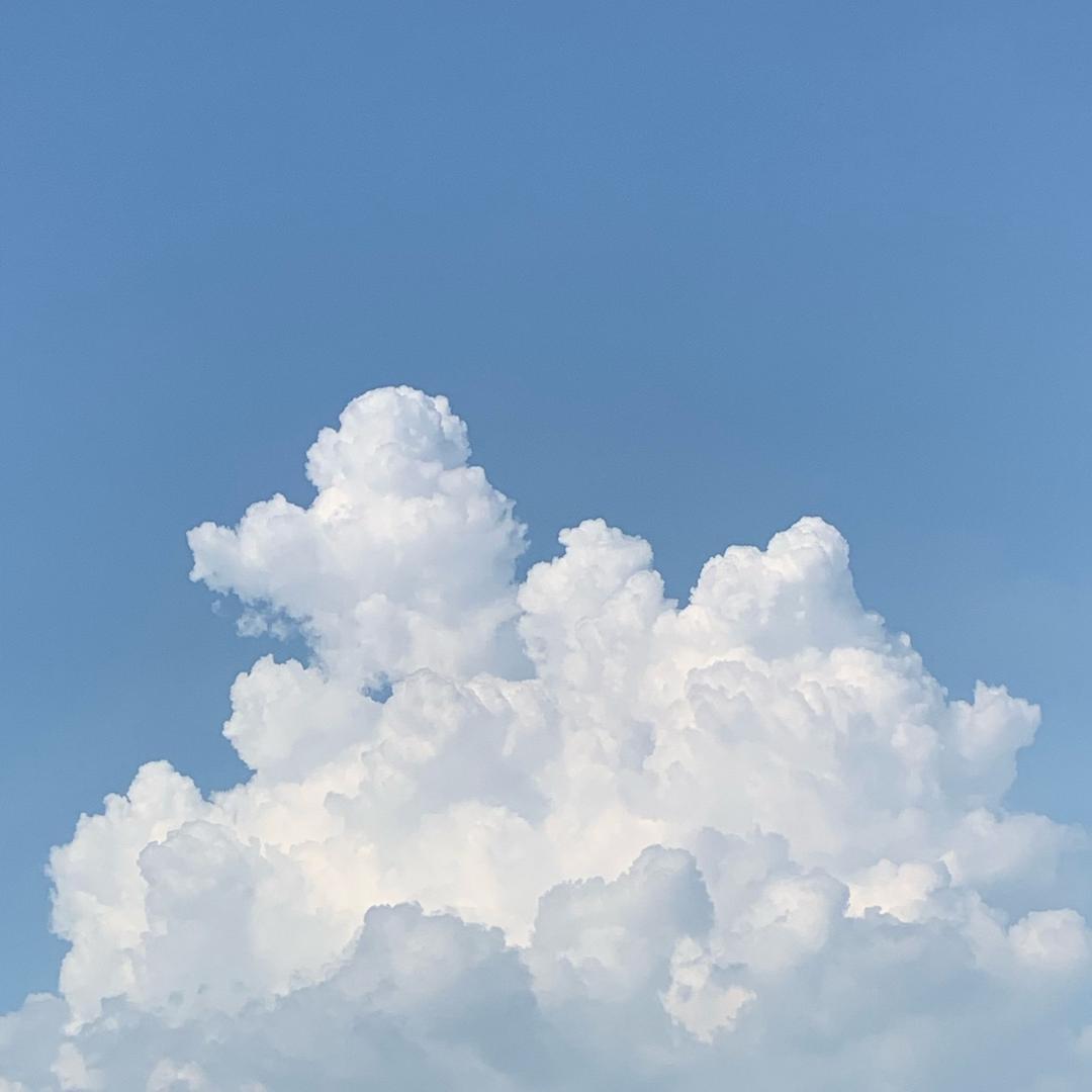阳光🌞