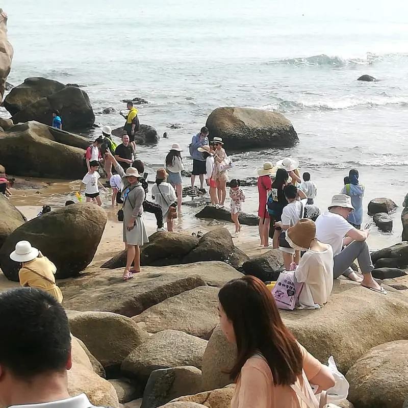 海宁自由行