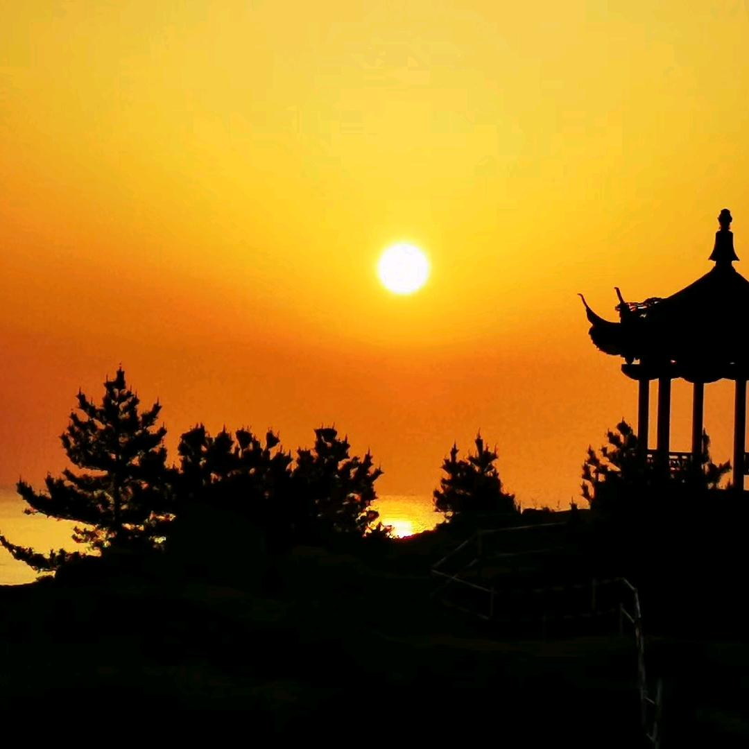 普陀山•菩提客