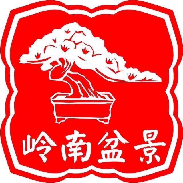 岭南盆景阳哥