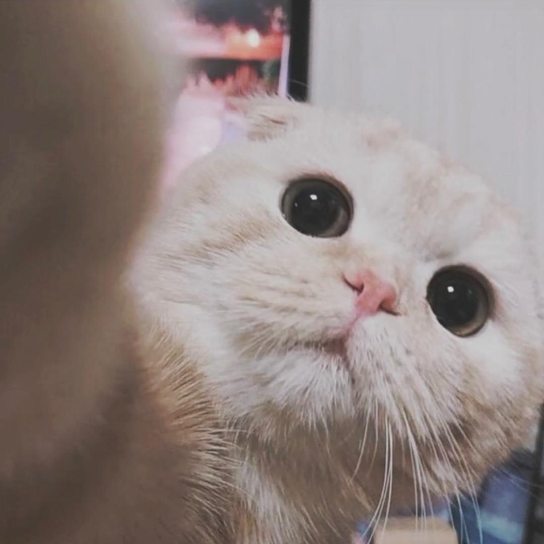 叫阴天别闹了好嘛