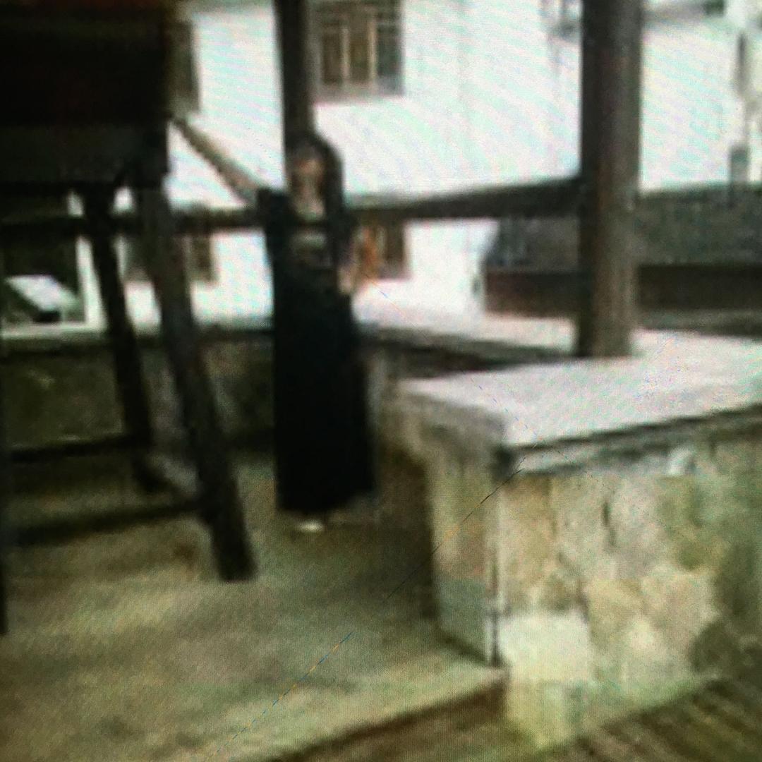 刘娟娟，人生如梦