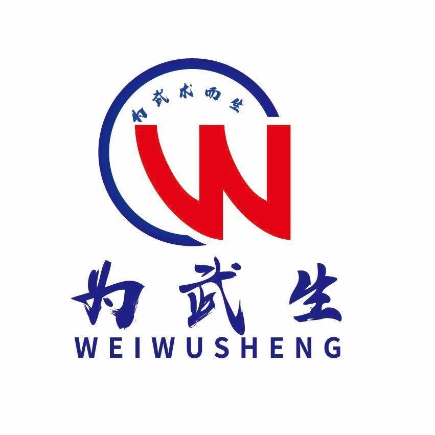 为武术而生