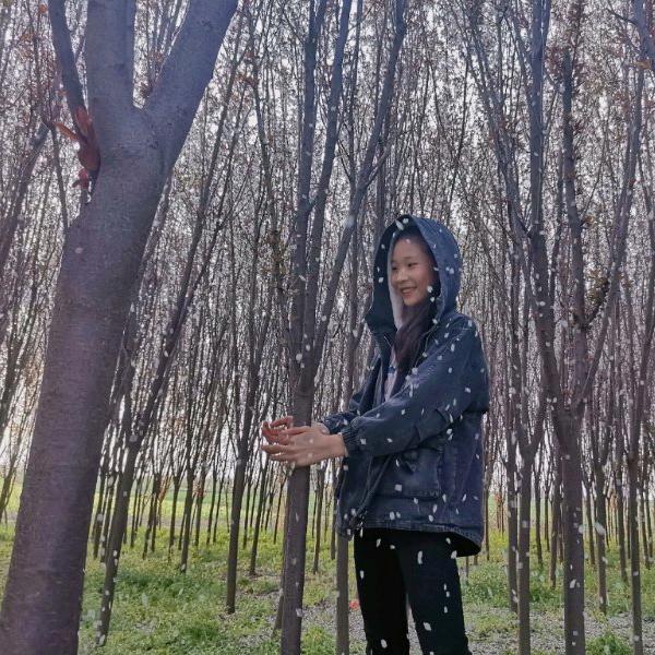 我在人间迷了路