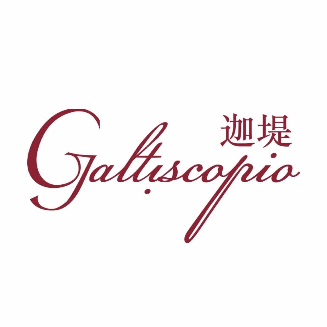Galtiscopio迦堤手表旗舰店