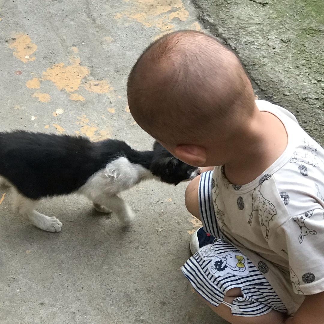 翁俊