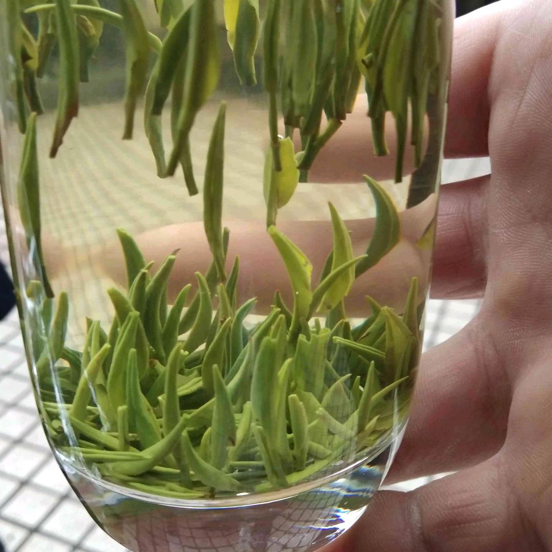 绵阳天泰12幢德志茗茶