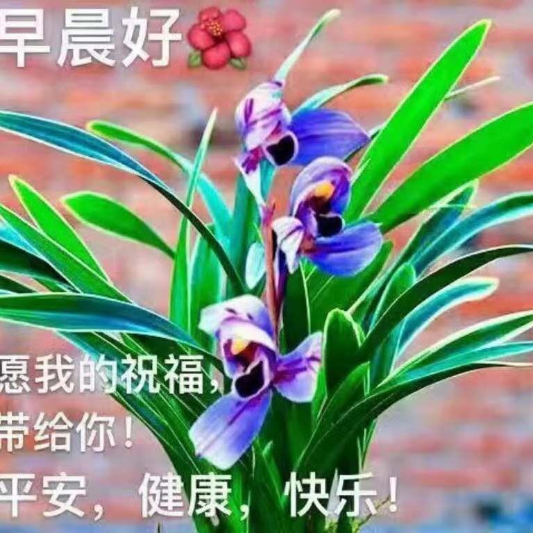 H ie有追求梦想
