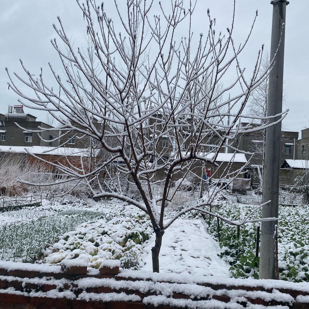 冰公主之冰公主