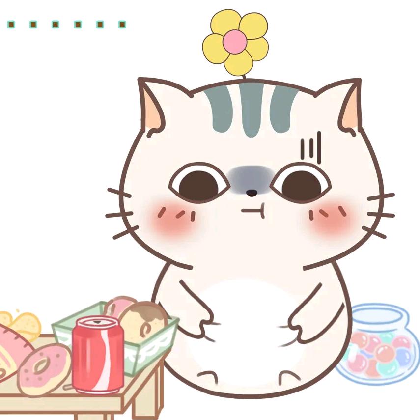 喵不吃鱼