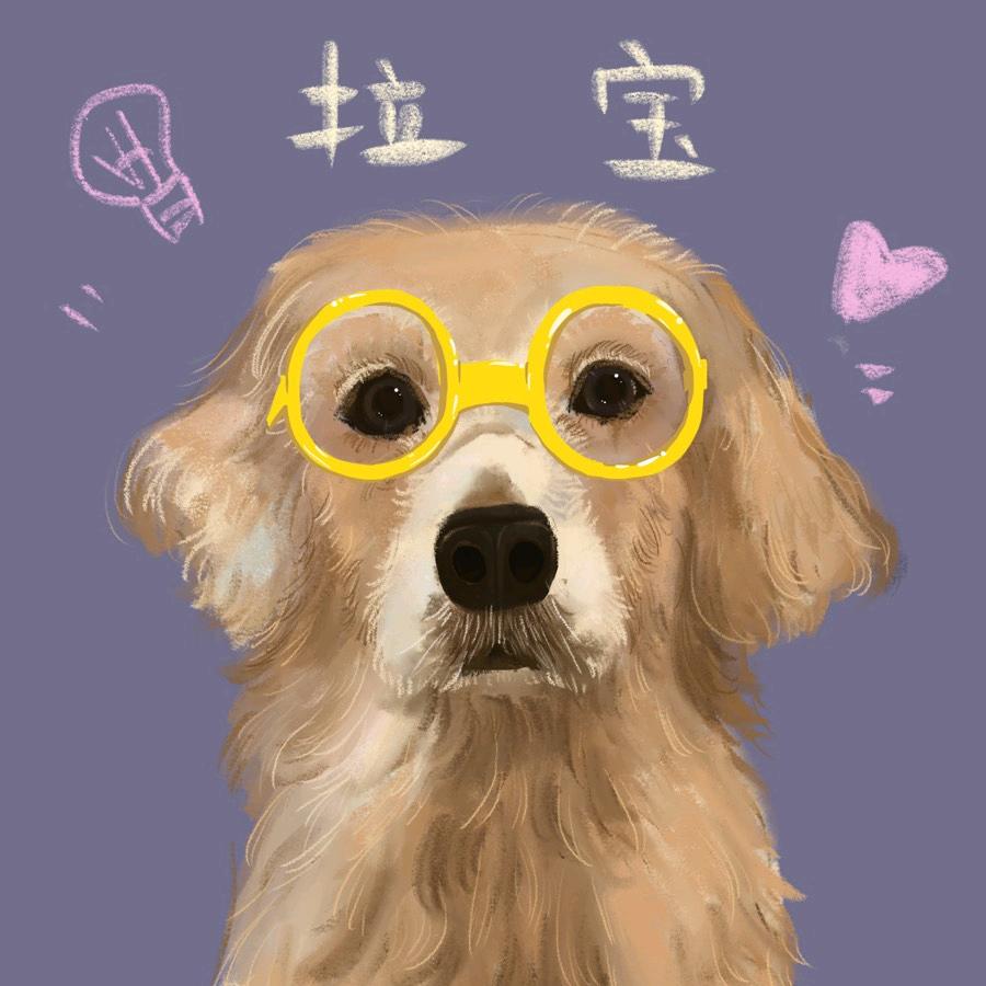 A.拉宝