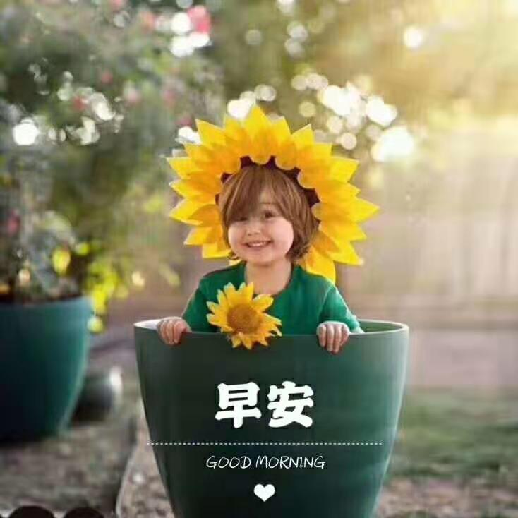 树上小梨子